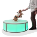 ProX Lumo Stage 4'x4' Circle Acrylic Stage w/Optional Lights, 16" High